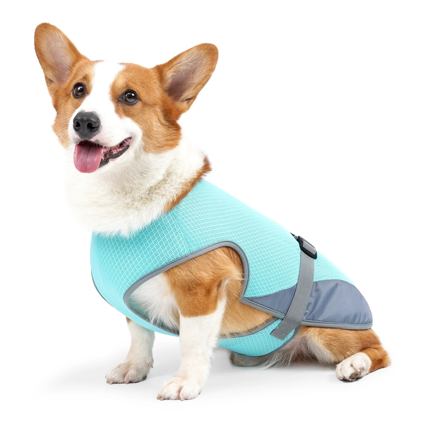Cooling Vest for Dogs Breathable Mesh Jacket Lightweight Adjustable Harness for Walking Running VexiDomic
