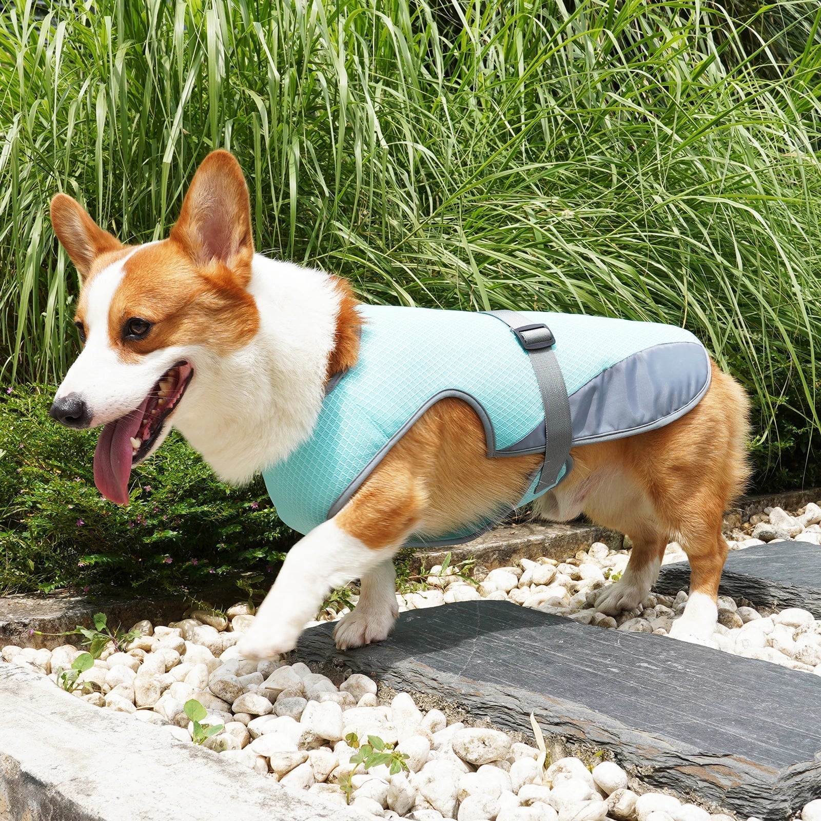 Cooling Vest for Dogs Breathable Mesh Jacket Lightweight Adjustable Harness for Walking Running VexiDomic
