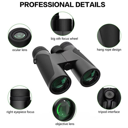 FlyinSight