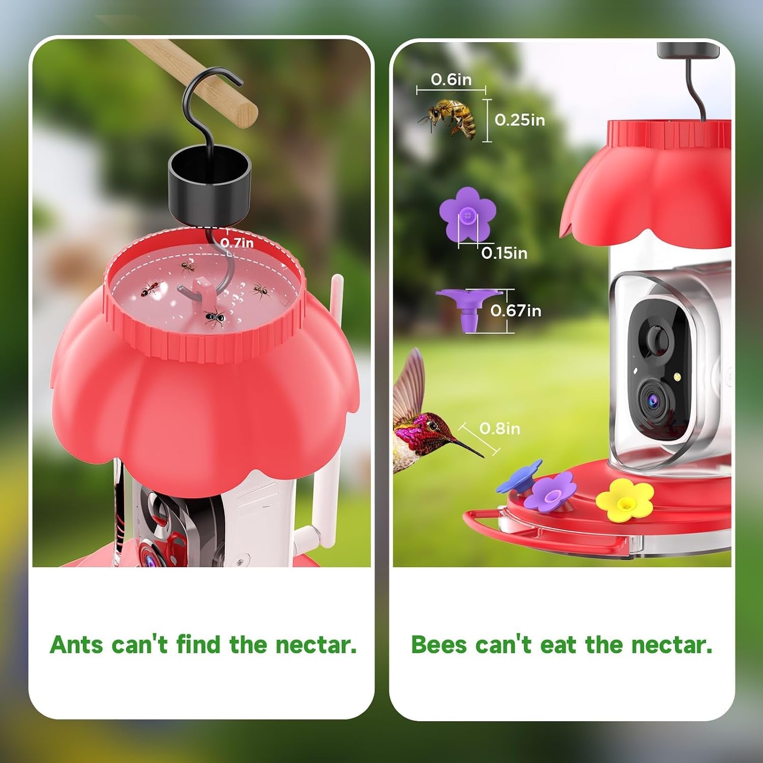 Smart Wireless Bird Feeder with Camera - HD Outdoor Wild Bird House with AI Identification