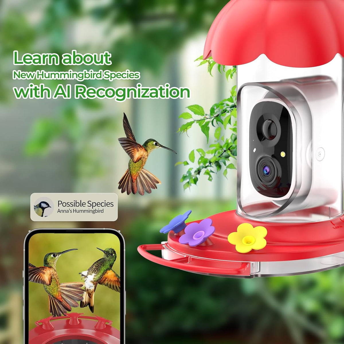 Smart Wireless Bird Feeder with Camera - HD Outdoor Wild Bird House with AI Identification