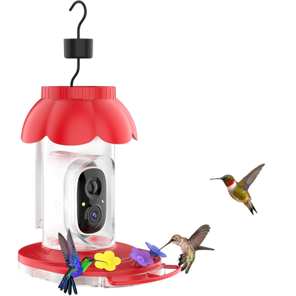 CaresBird