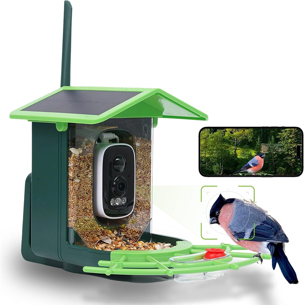 DasFonix Smart Bird Feeder Camera 2K 4MP AI Species Identification 5G WiFi & Solar