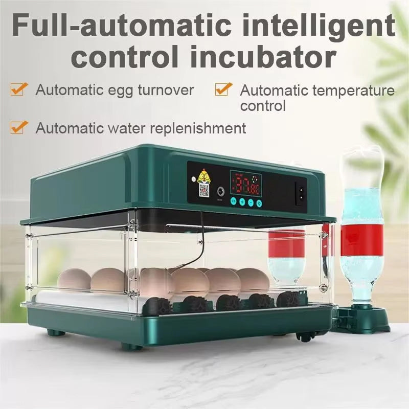 EggBatix