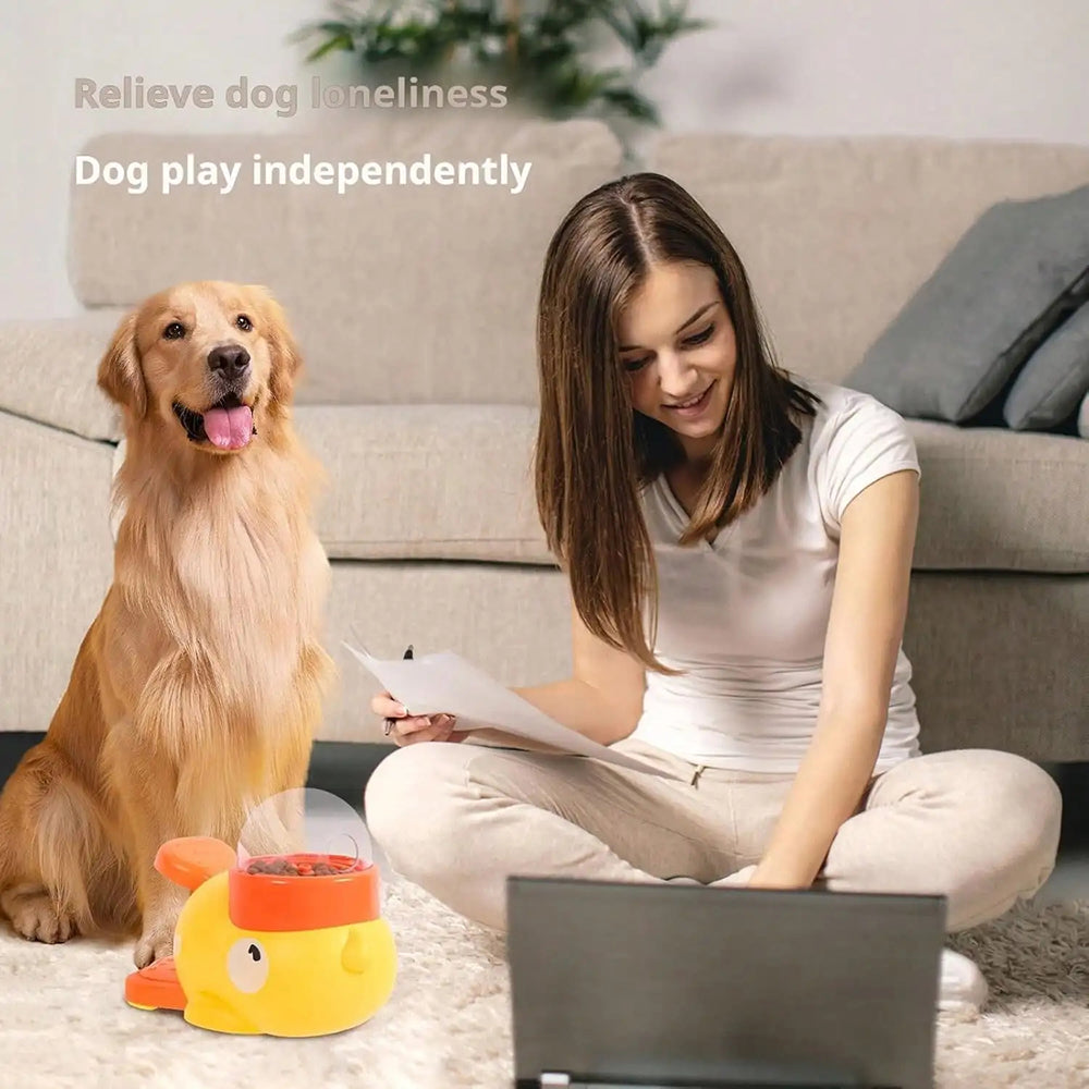 FizoClen Dog Slow Feeder Bowl - 10x Slower Interactive Puzzle Non-Slip Base