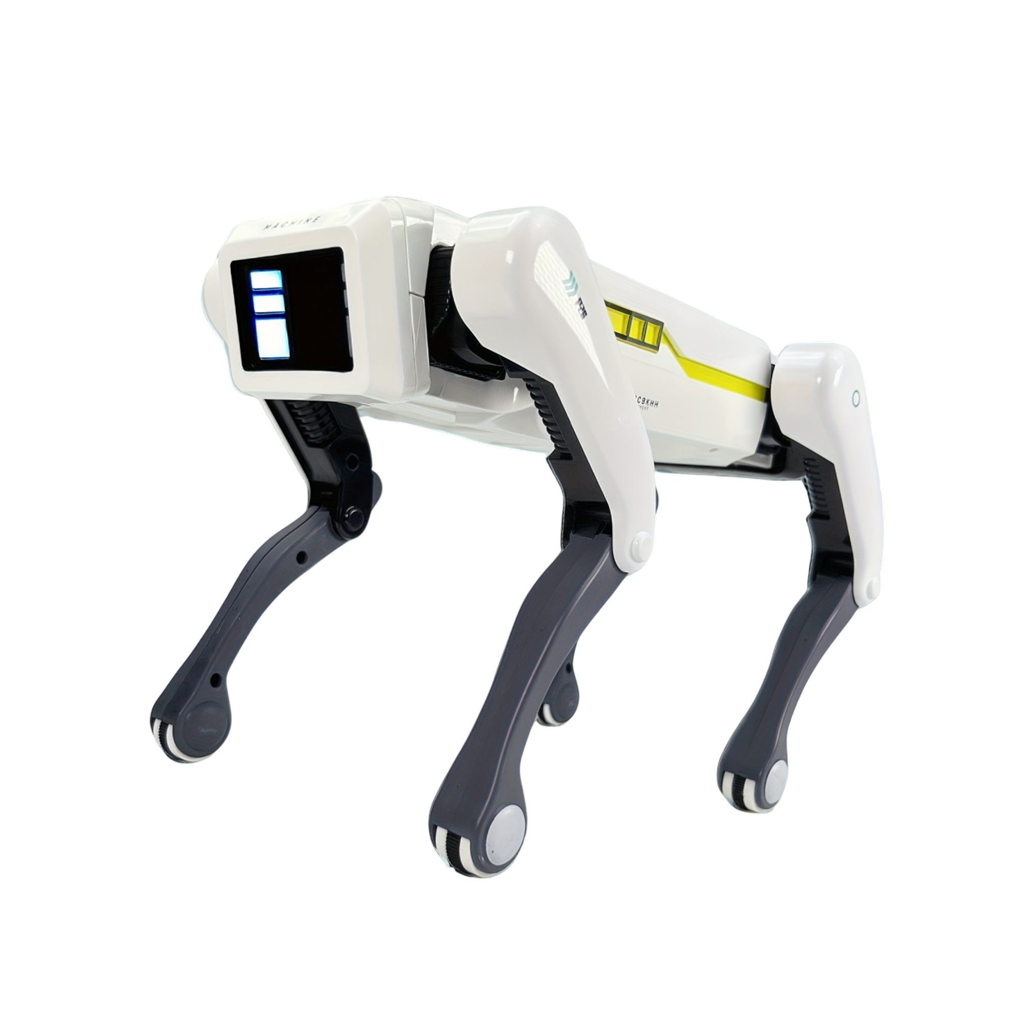 fomis-pet-img-04.png__PID:ca0934a9-b4eb-4942-b172-8a61008a1215