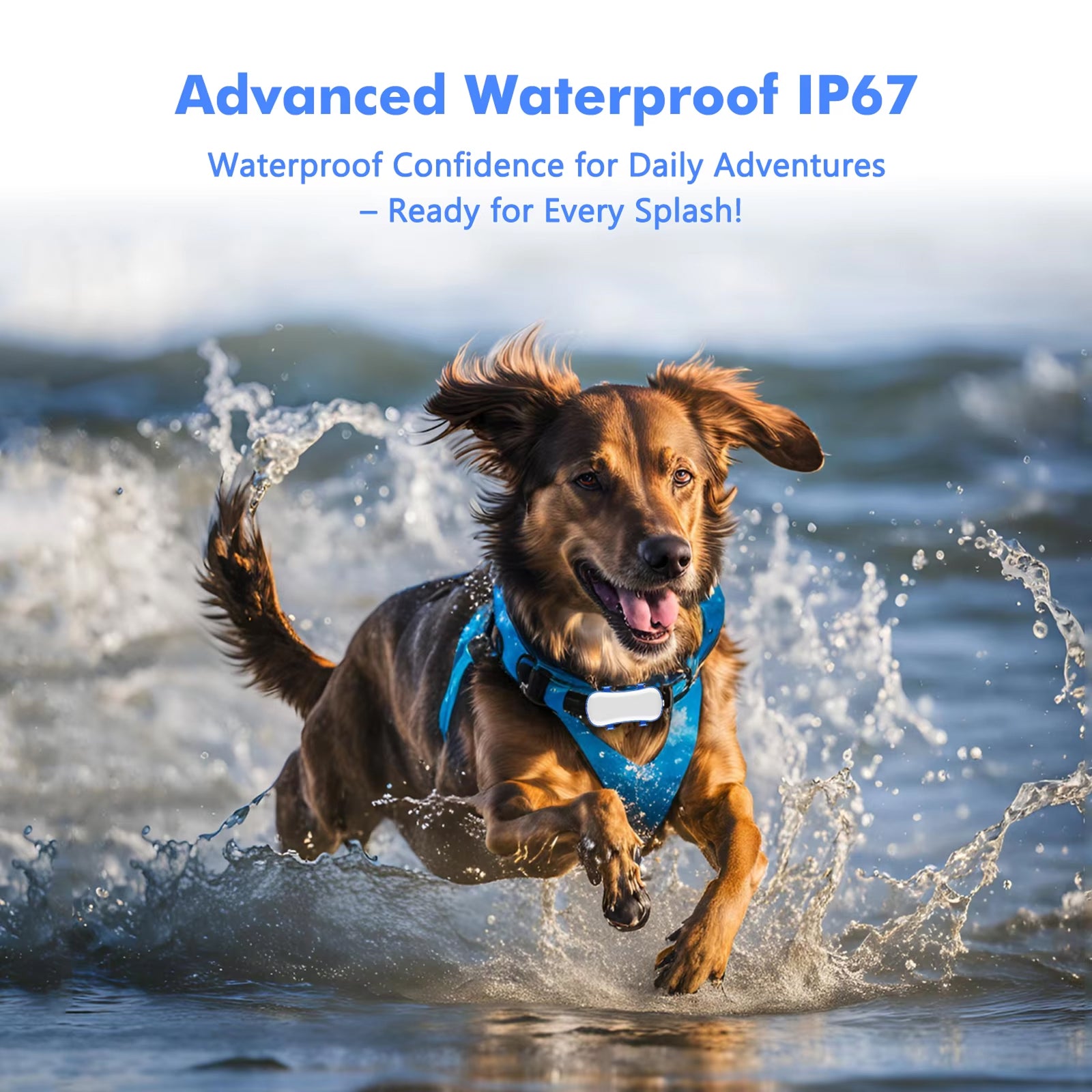 GeoPapup Dog GPS Tracker with 15-Day Battery, Instant Escape Alerts, IP67 Waterproofing and Dual-Mode Tracking