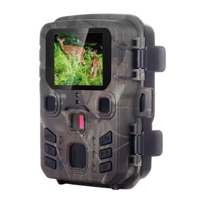 LenxNature