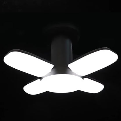 LumiPeco