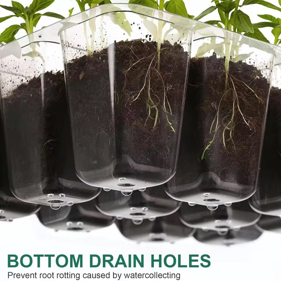 MixSeedi Seed Starter Kit with Humidity Dome 12-Cell Germination Trays 5/10 Pack