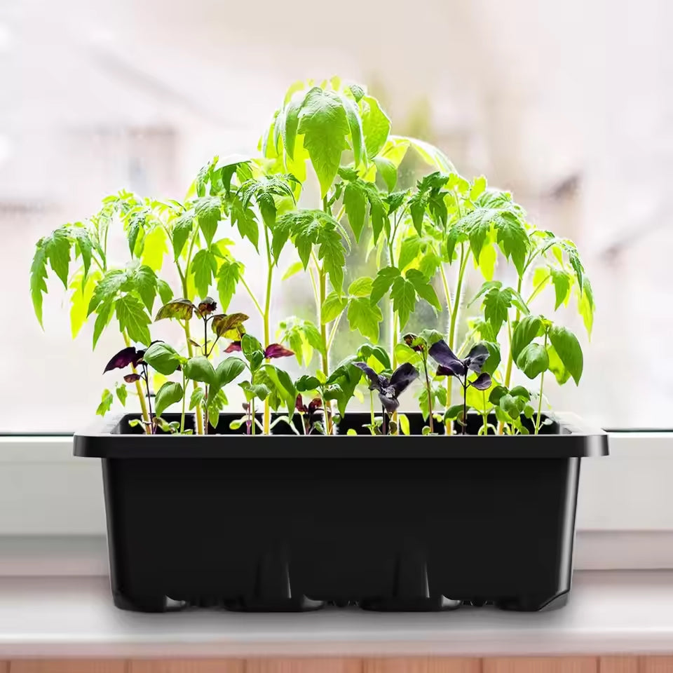 MixSeedi Seed Starter Kit with Humidity Dome 12-Cell Germination Trays 5/10 Pack