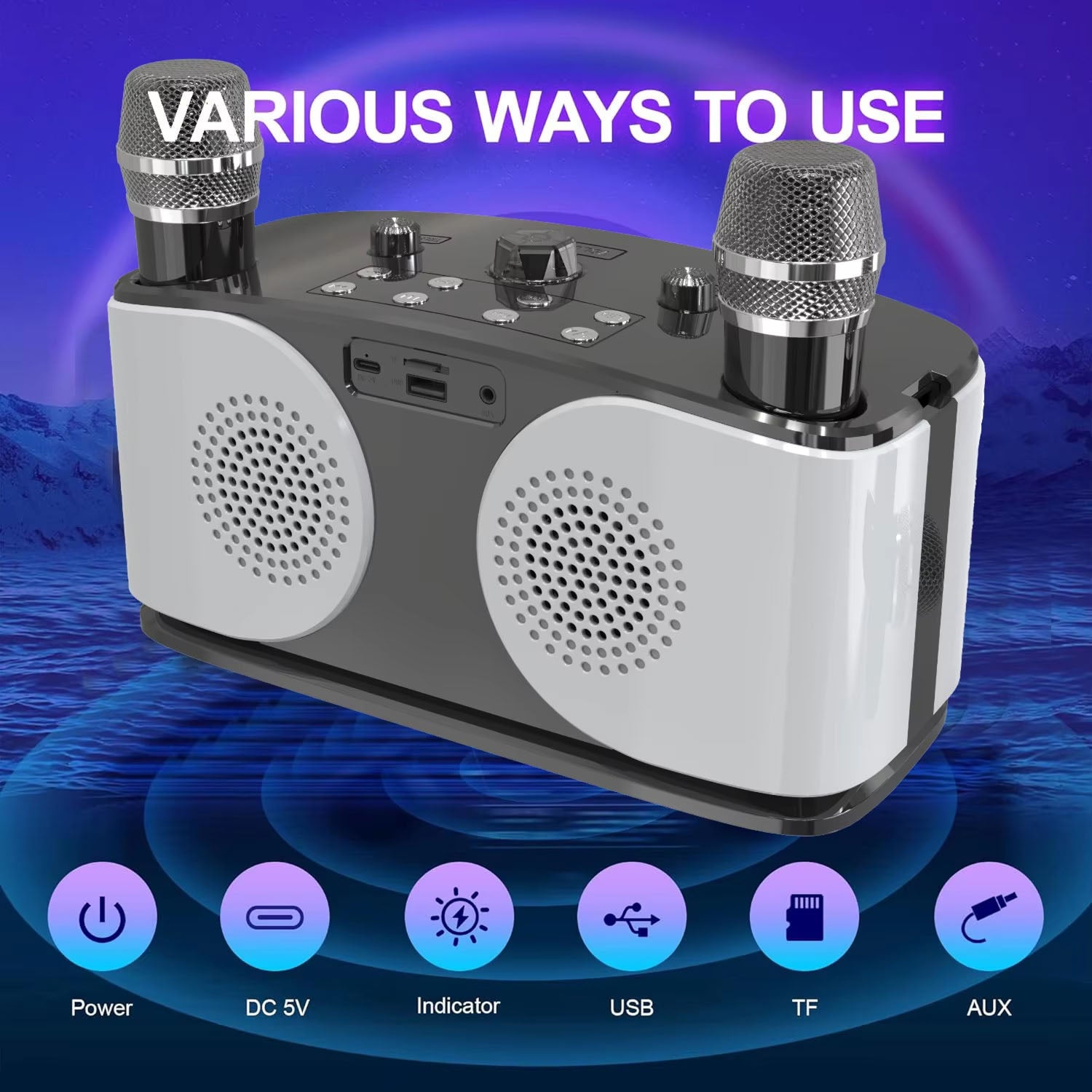 PocketMuzi Portable Karaoke Machine Dual 10W Bluetooth 5.3 Speaker with 2 Mics
