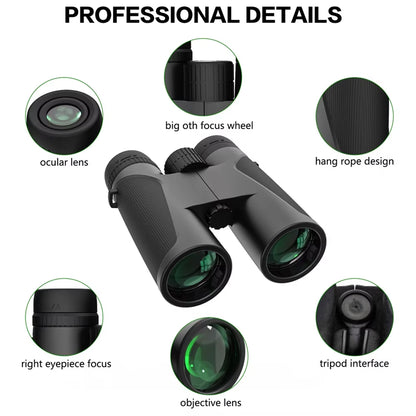 FlyinSight