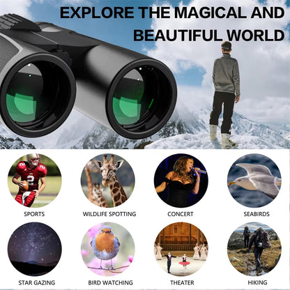 FlyinSight