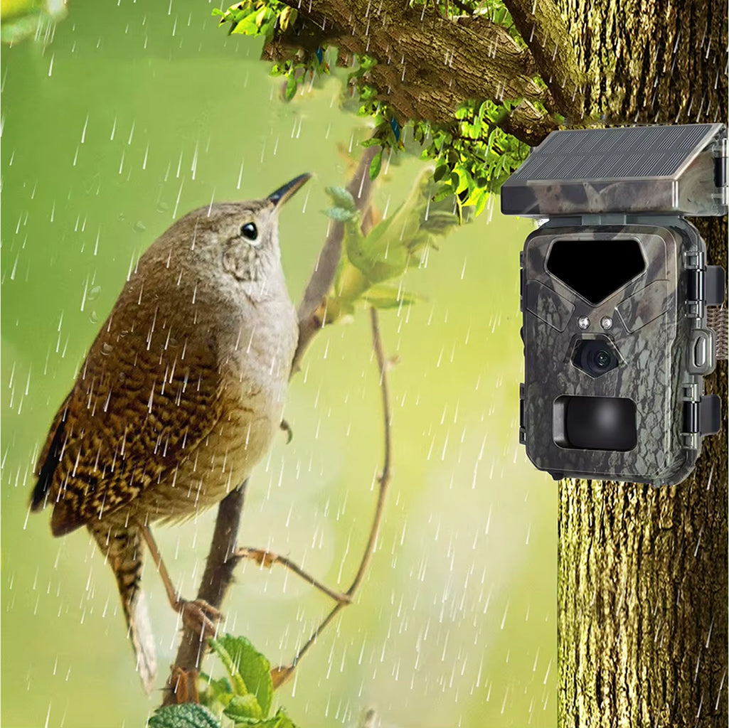 SotekNap