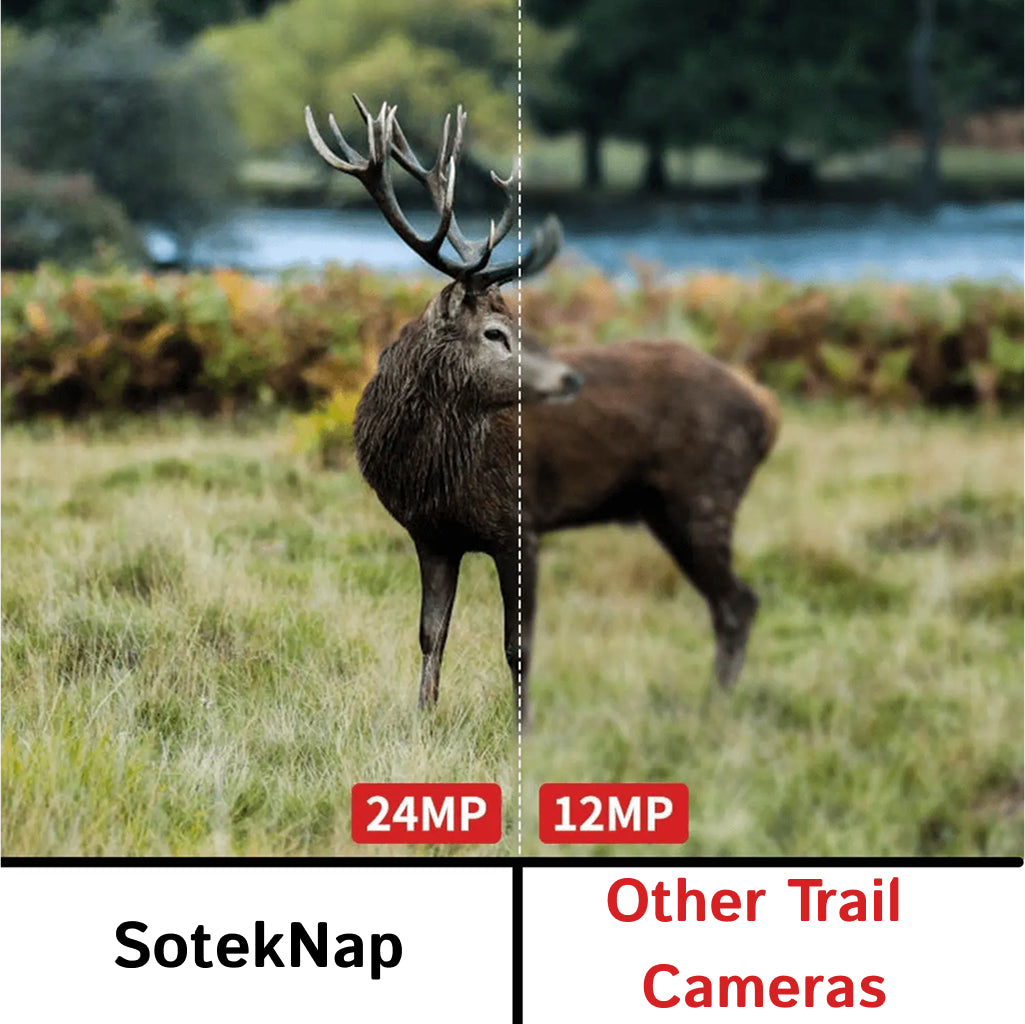 SotekNap