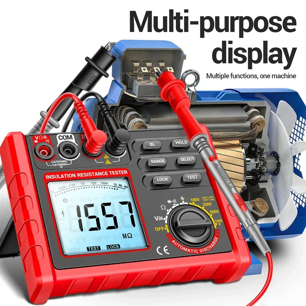 Digital Insulation Resistance Tester 100V-1000V Megohmmeter 6000 Count Data Hold Auto-Discharge TeriLimax