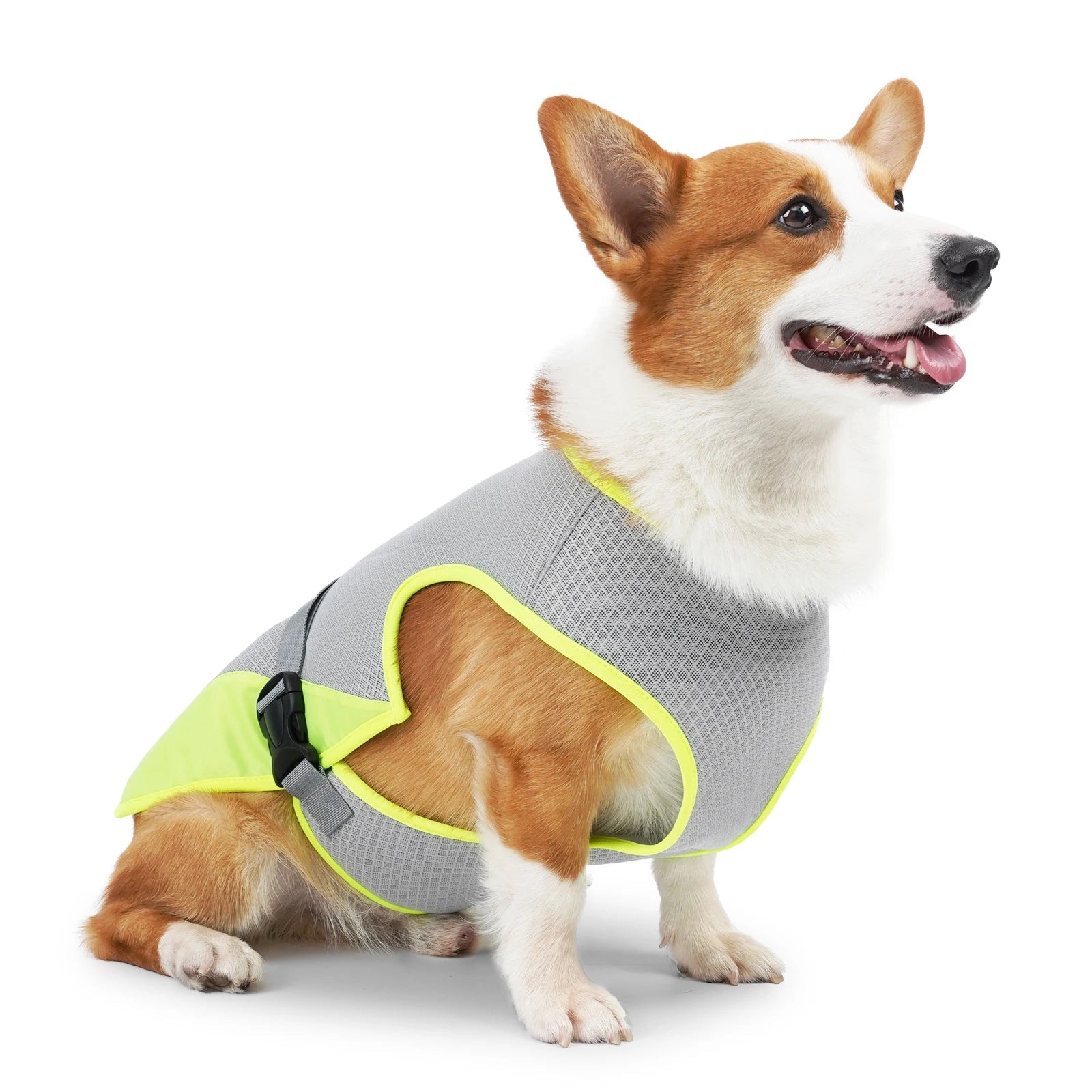 Cooling Vest for Dogs Breathable Mesh Jacket Lightweight Adjustable Harness for Walking Running VexiDomic