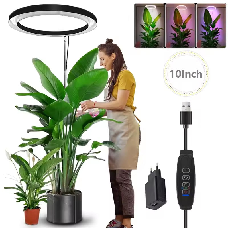 VynGreen