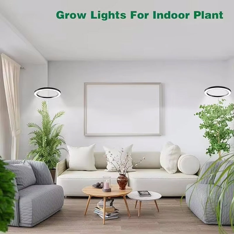 VynGreen