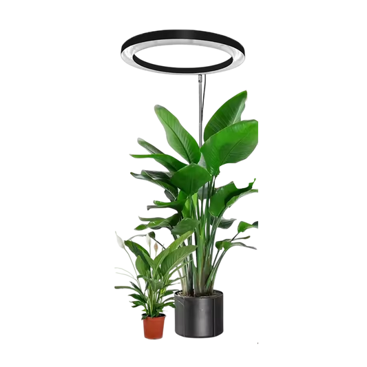VynGreen