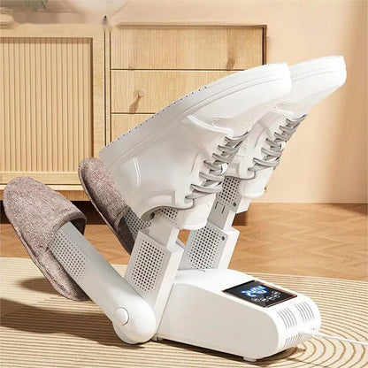 WarmSolei