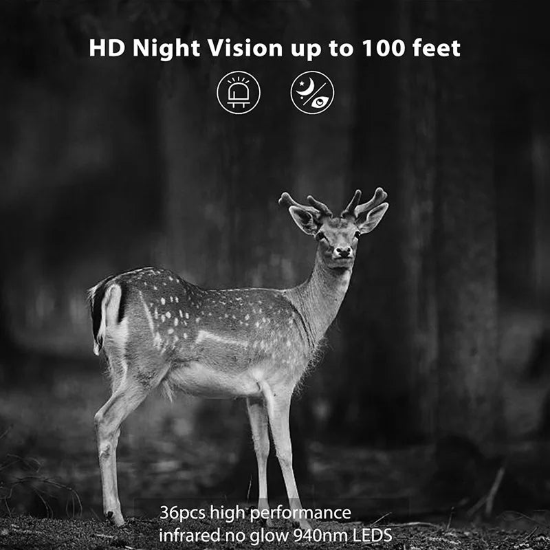 WildSpux