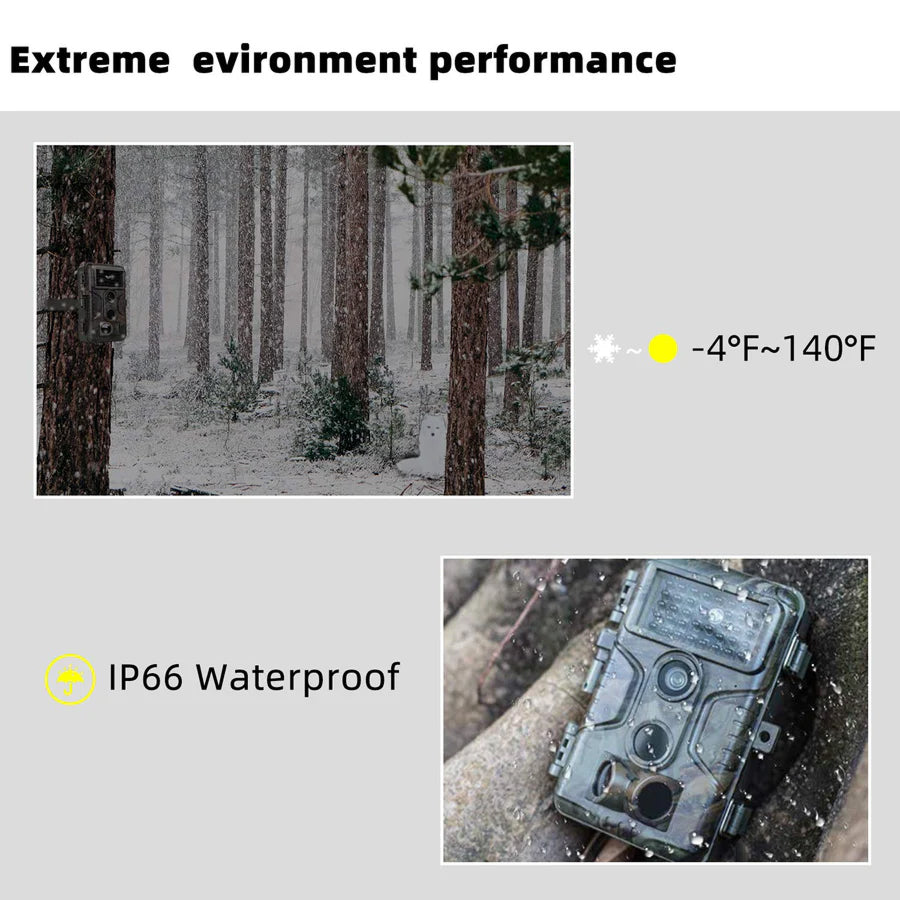 WildSpux