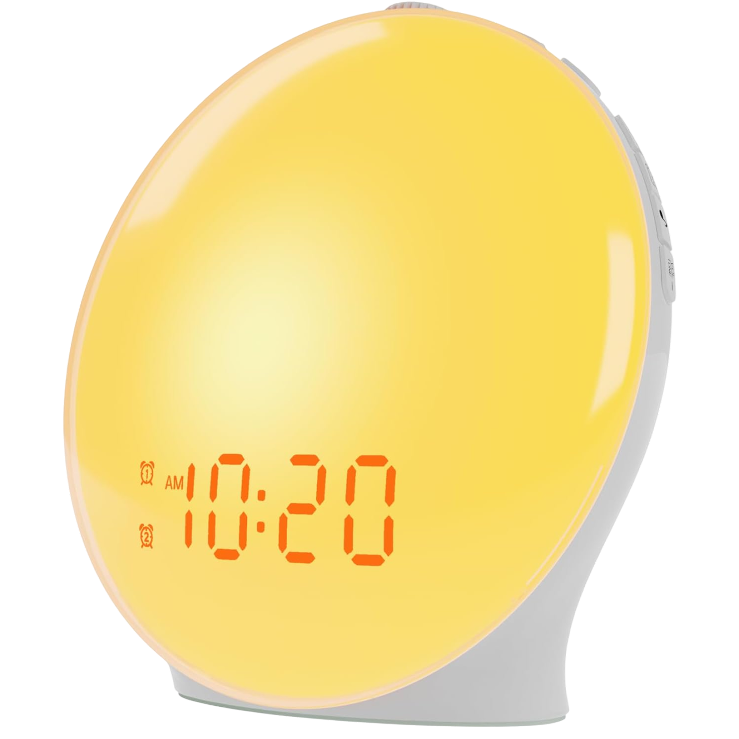 ZieMorni